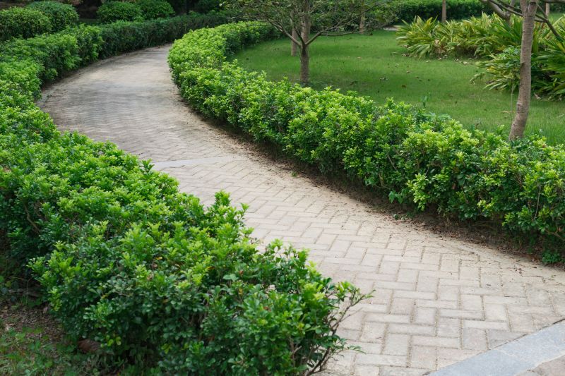 Paved Landscaping
