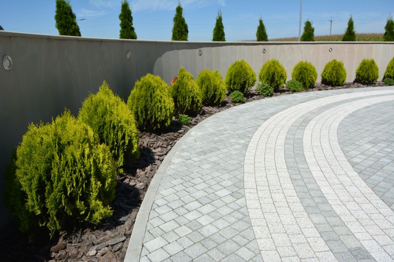 Modern Paver Design