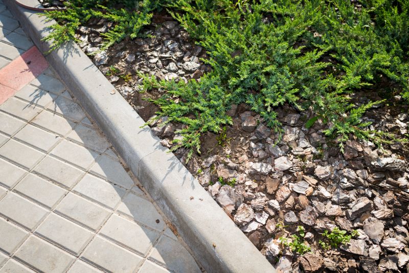 Paver Edging and Borders