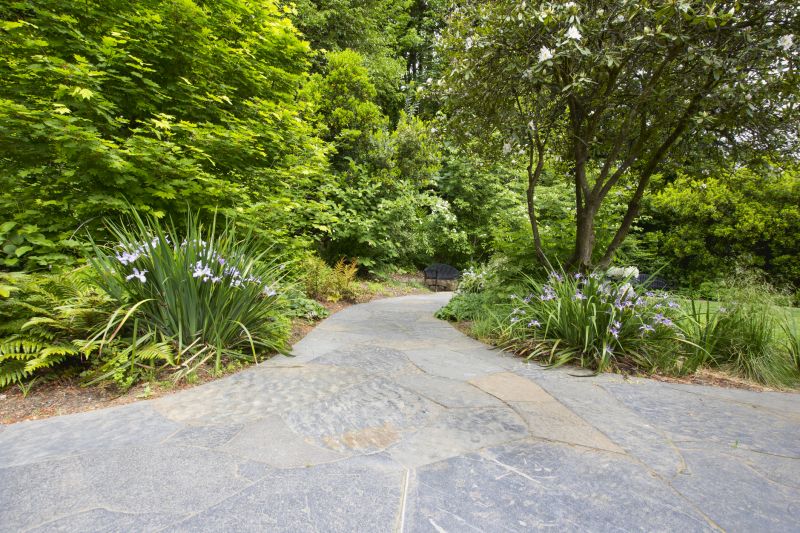 Walkway with Decorative Pavers